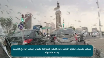 سحب رعدية.. تحذير الأرصاد من أمطار متفاوتة تضرب جنوب الوادي الجديد بحدة متفاوتة